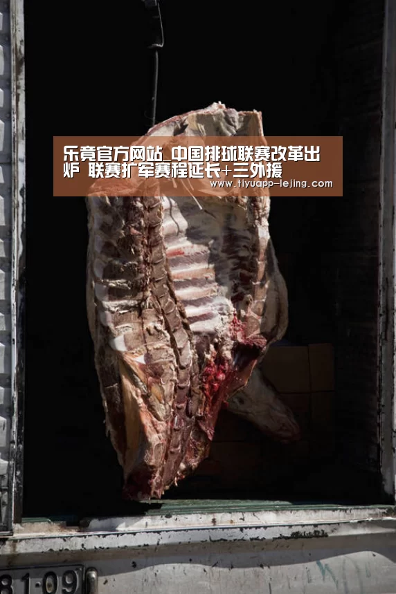 乐竟体育官网